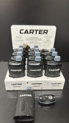 Picture of CARTER BATTERY 12CT