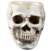 Picture of Skull Ashtray Multiple Design